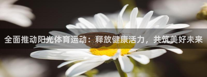 全面推动阳光体育运动：释放健康活力，共筑美好未来