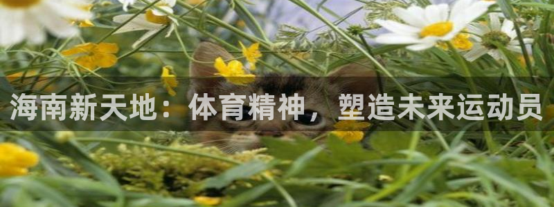 海南新天地：体育精神，塑造未来运动员