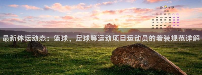 最新体坛动态：篮球、足球等运动项目运动员的着装规范详解