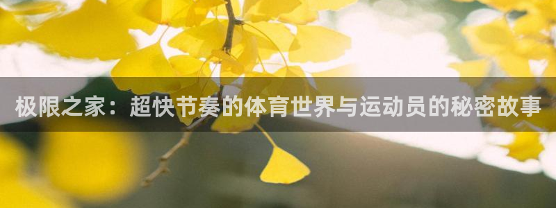 极限之家：超快节奏的体育世界与运动员的秘密故事