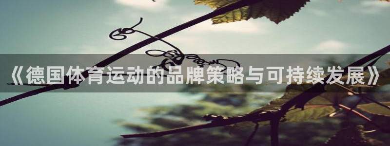 《德国体育运动的品牌策略与可持续发展》