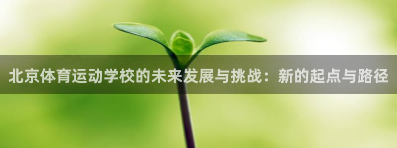 北京体育运动学校的未来发展与挑战：新的起点与路径
